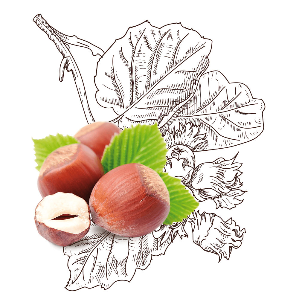 nocciole-loison-biscotti